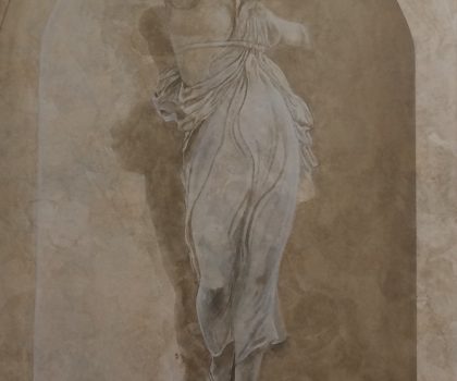 Venere acefala