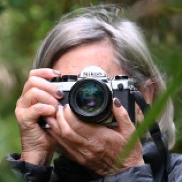 Foto del Profilo